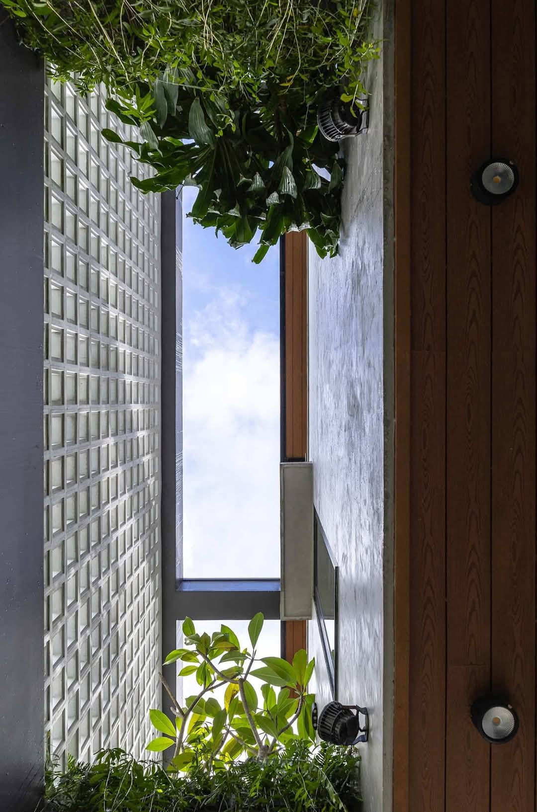 Biệt thự 3 tầng hiện đại - 12